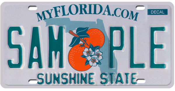 Renew Florida Drivers License Appointment